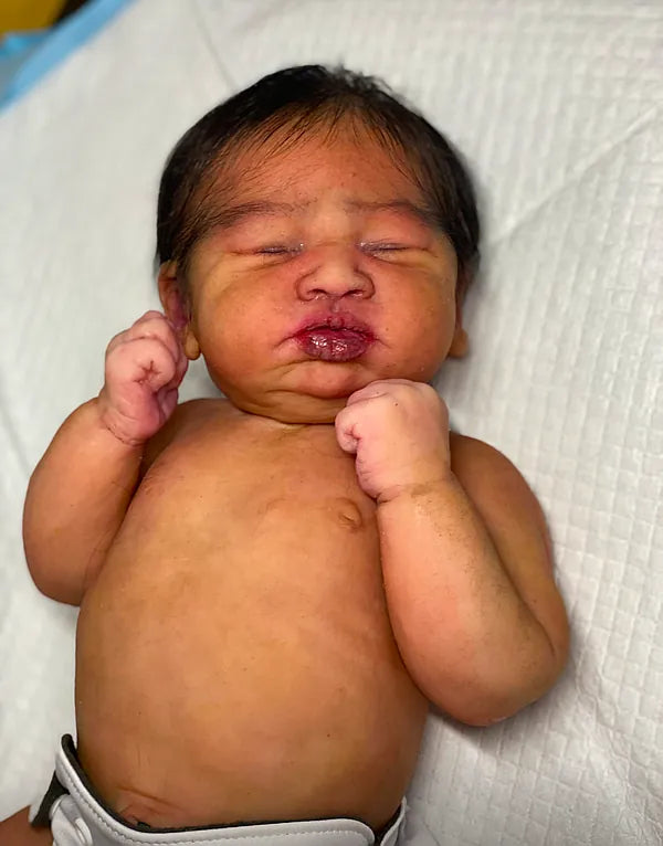 Custom  Silicone Doll Painting and Hair (Blank Doll Required)