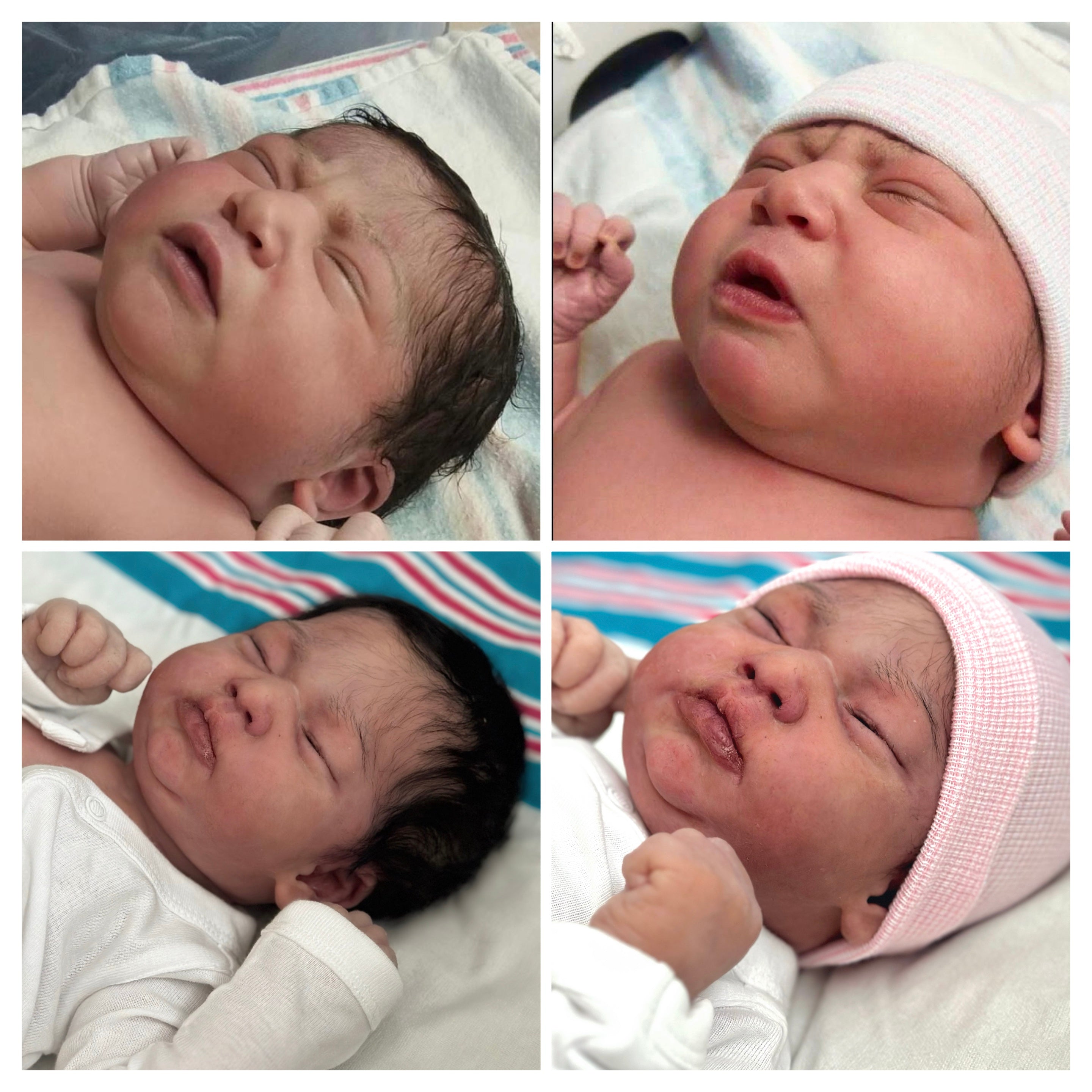 Custom  Silicone Doll Painting and Hair (Blank Doll Required)